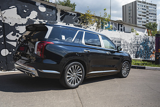 Электрические Пороги ATS для Hyundai Palisade (2018-2024)