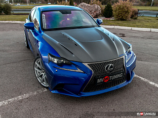 Крашенный комплект. Реснички на фары Lexus IS 3(III) (2013-2016) ЦВЕТ Черный 217 + УСТАНОВОЧНЫЙ КОМПЛЕКТ