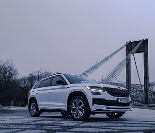 BLACKOUT EDITION. Канарды (накладки над птф) крашенные Черный глянец для Skoda Kodiaq (2016-2021)
