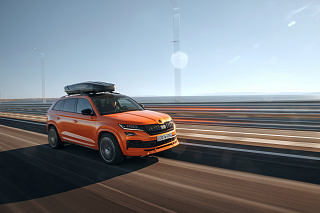 Юбка (накладка) переднего бампера для Skoda Kodiaq (2016-2021) Под покраску