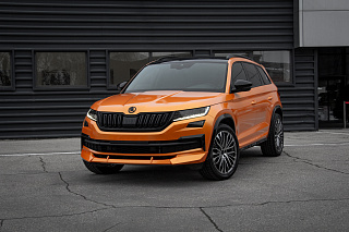 Канарды (накладки над птф) для Skoda Kodiaq (2016-2021) под покраску