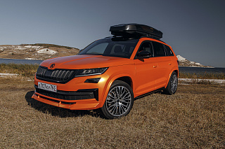 Расширители арок для Skoda Kodiaq (2016-2024) Под покраску + установочный комплект.
