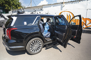 Электрические Пороги ATS для Hyundai Palisade (2018-2024)